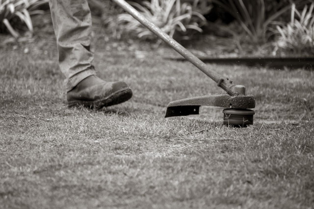 A worker uses a string trimmer to maintain a lawn, focusing on the grass edges outdoors.